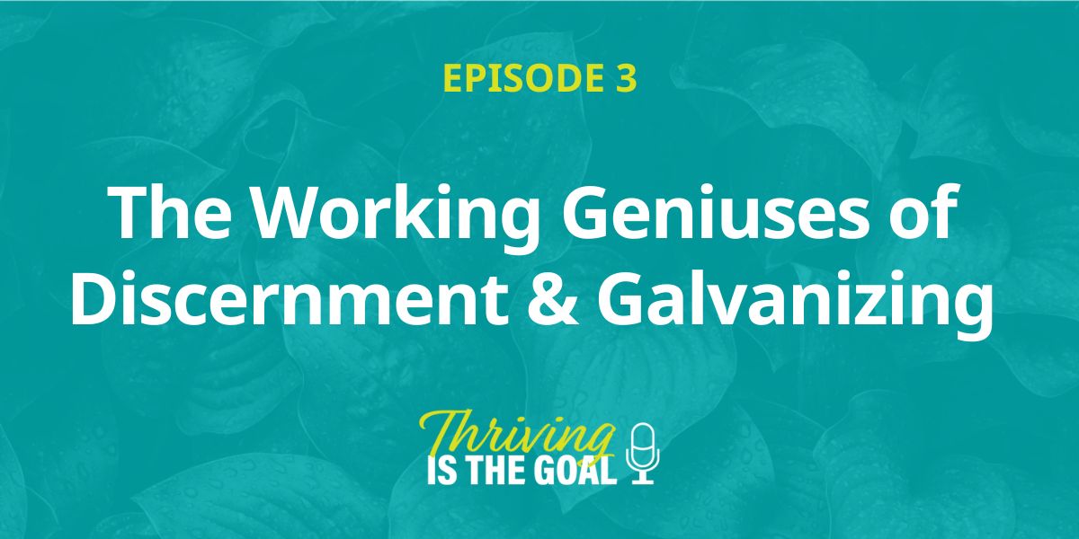 Featured image for “Episode 03: The Working Geniuses of Discernment and Galvanizing”